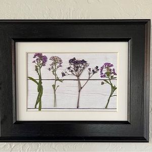 Dried Pressed Framed Purple Baby’s Breath